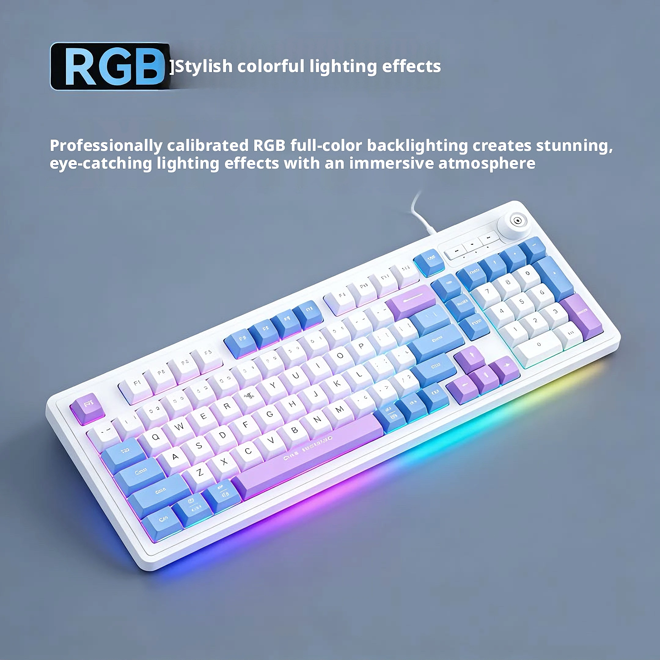 98Keys Wired Keyboard RGB Glow - Gaming Keyboard No Noise recension och pris